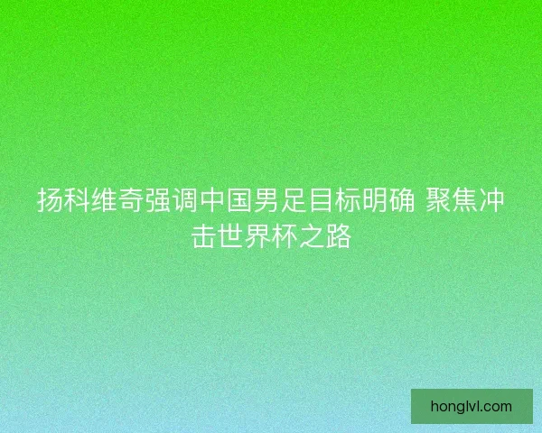 扬科维奇强调中国男足目标明确 聚焦冲击世界杯之路
